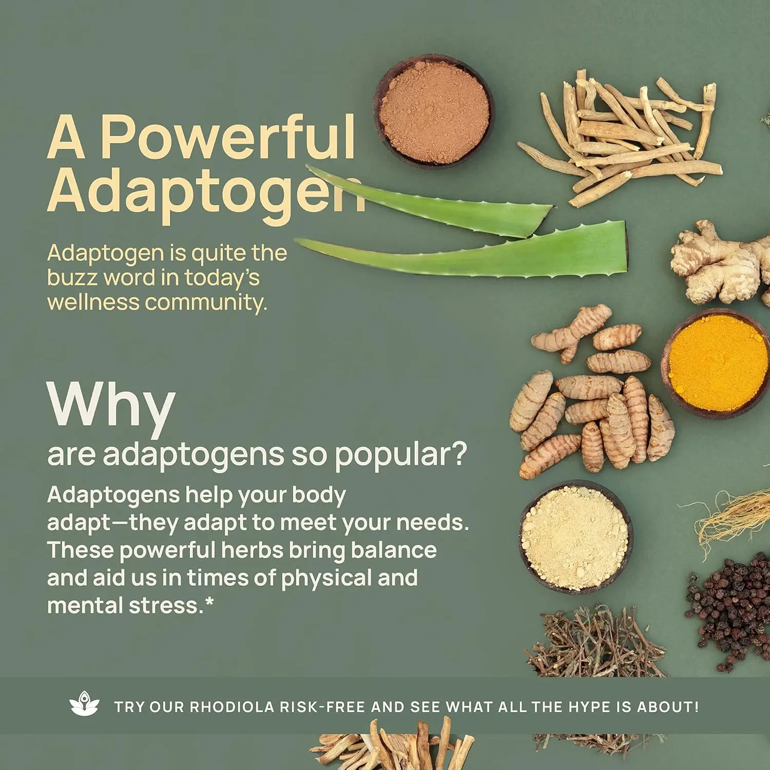 Nuven Naturals Rhodiola Rosea 600 mg Capsules